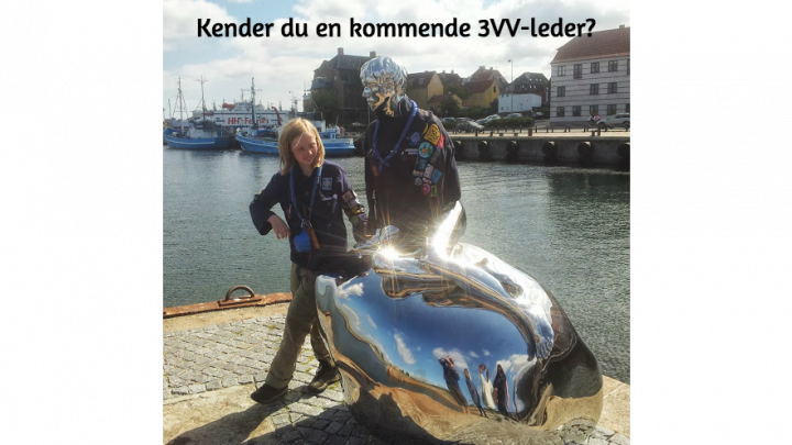 Kender du en kommende 3vv-leder?