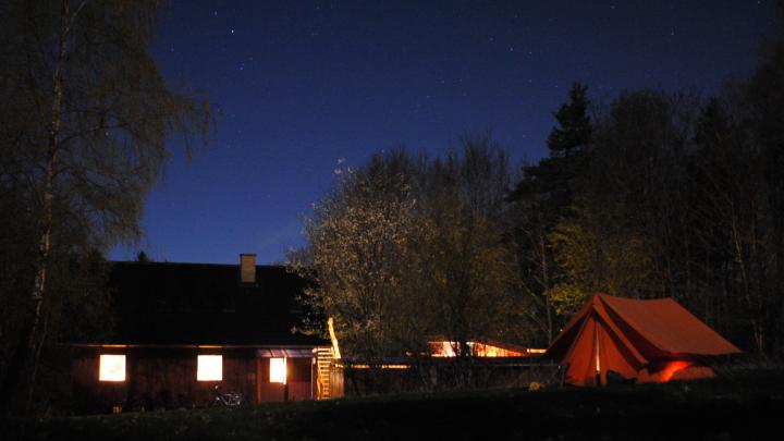 Bavnen by night