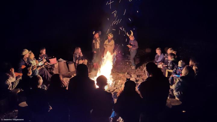 Lejrbål fra minitur på Bavnen